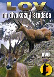 Lov na divokozu i srndaća (DVD)